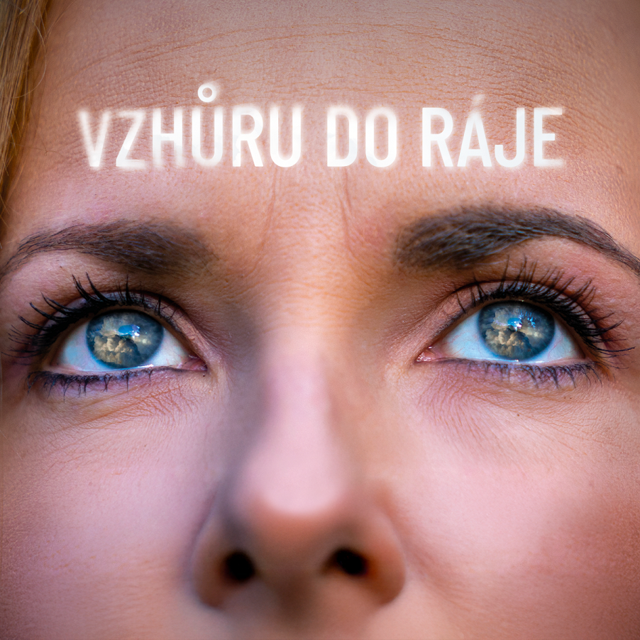 Vzhůru do ráje (2022)